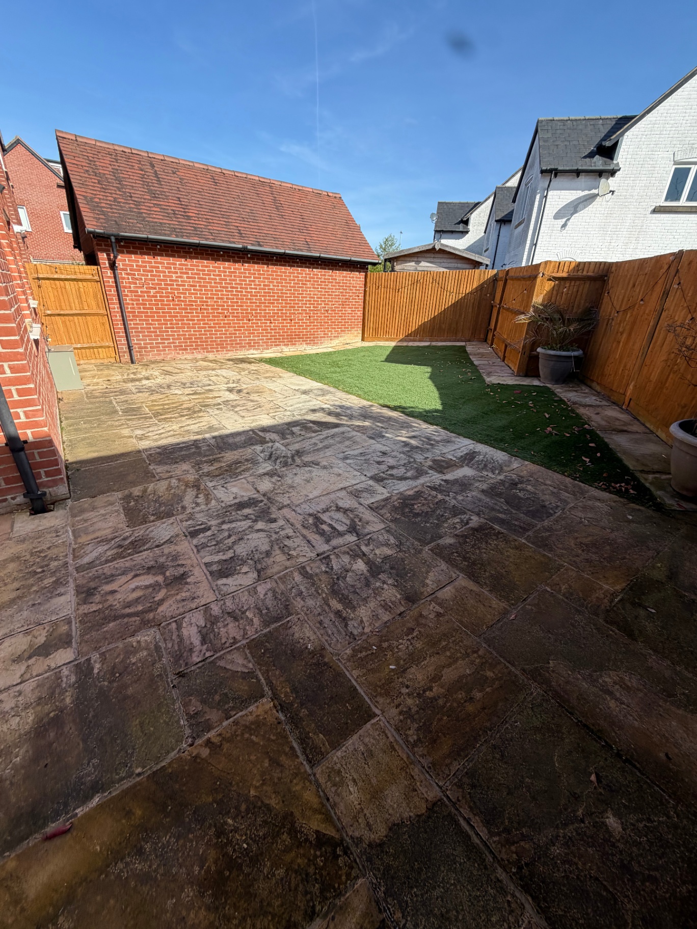 Overgrown sandstone patio before cleaning